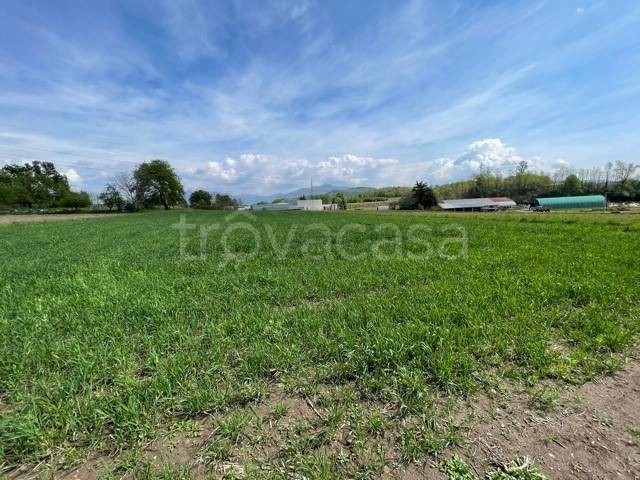 terreno agricolo in vendita ad Olgiate Comasco