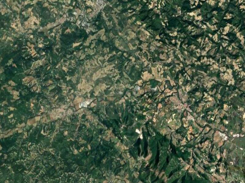 terreno agricolo in vendita a Peglio(CO)