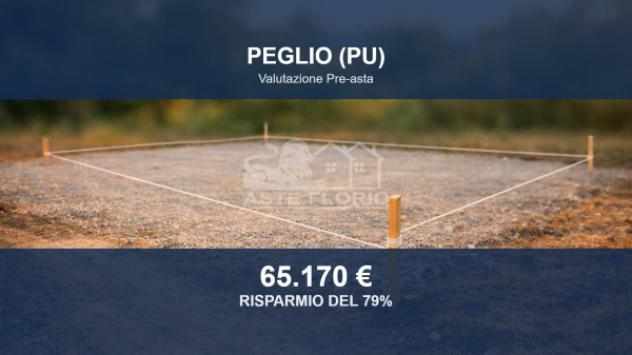 terreno agricolo in vendita a Peglio(CO)