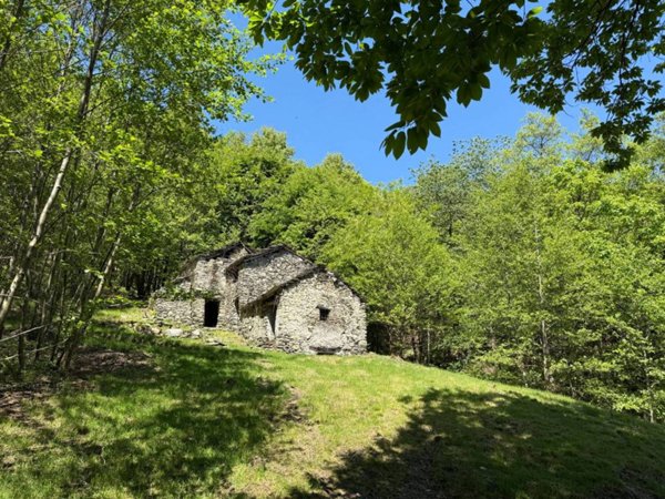 casa indipendente in vendita a Pianello del Lario