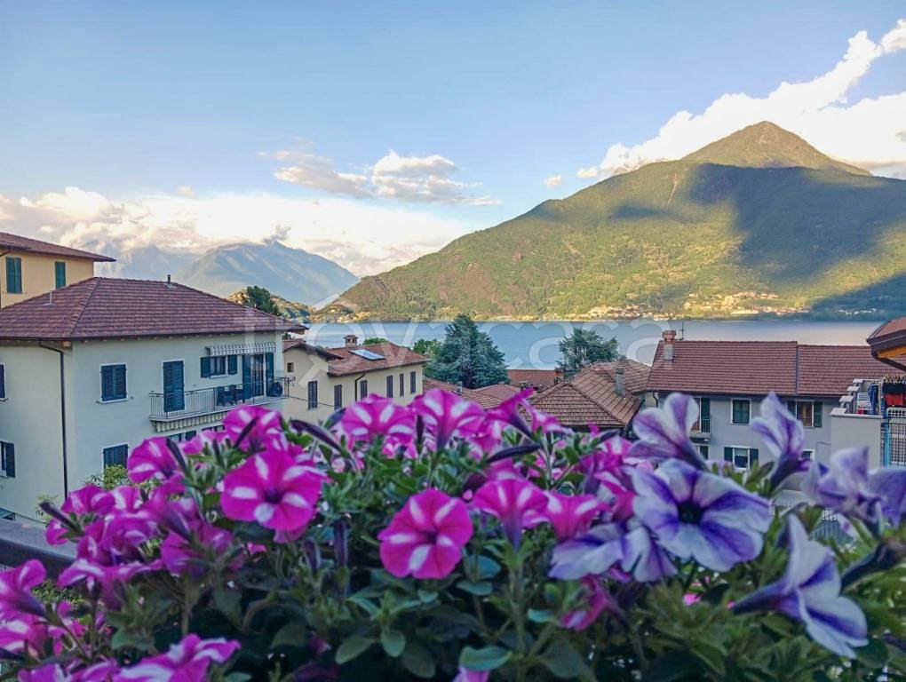appartamento in vendita a Pianello del Lario