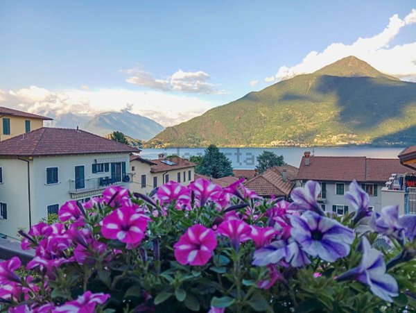 appartamento in vendita a Pianello del Lario
