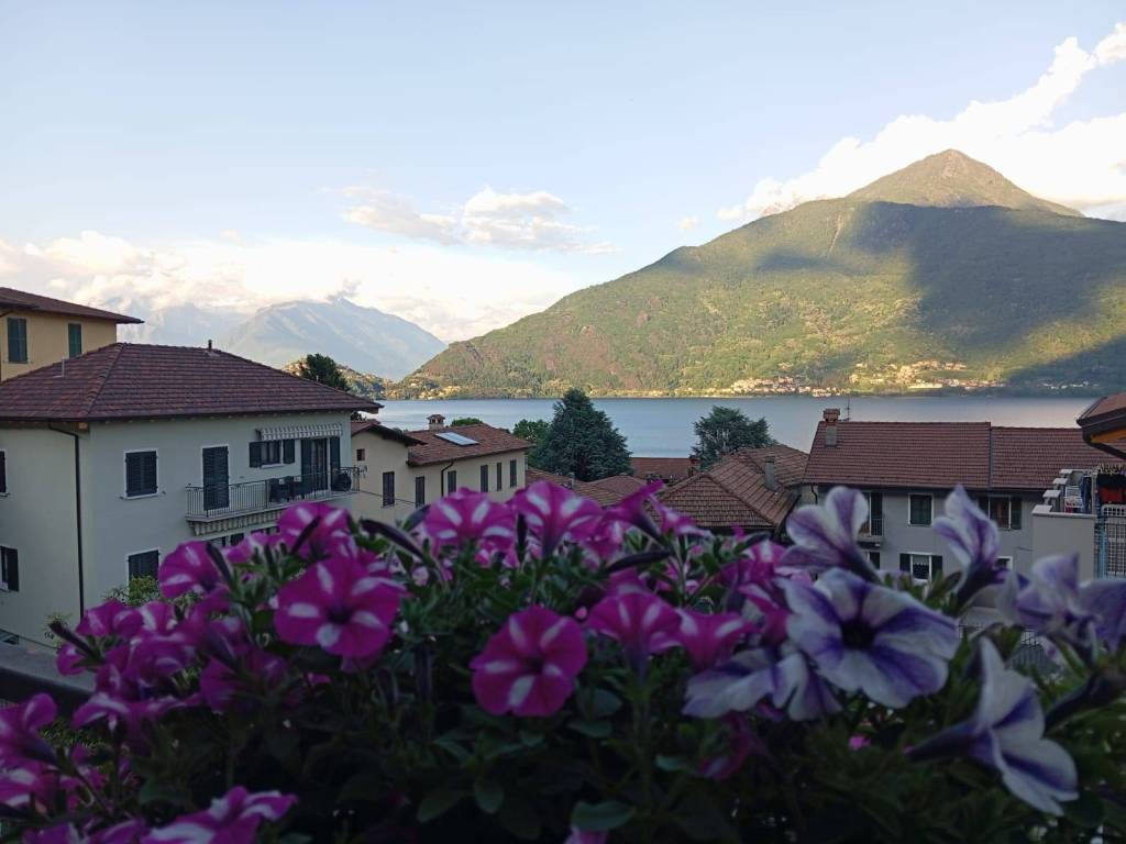 appartamento in vendita a Pianello del Lario in zona Calozzo