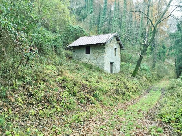 casa indipendente in vendita a Plesio