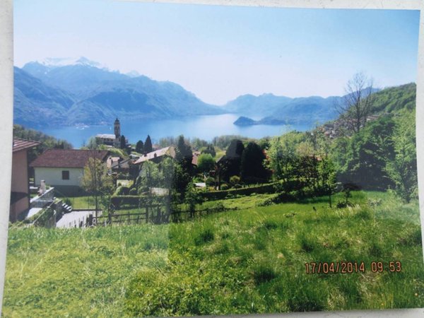 terreno agricolo in vendita a Plesio