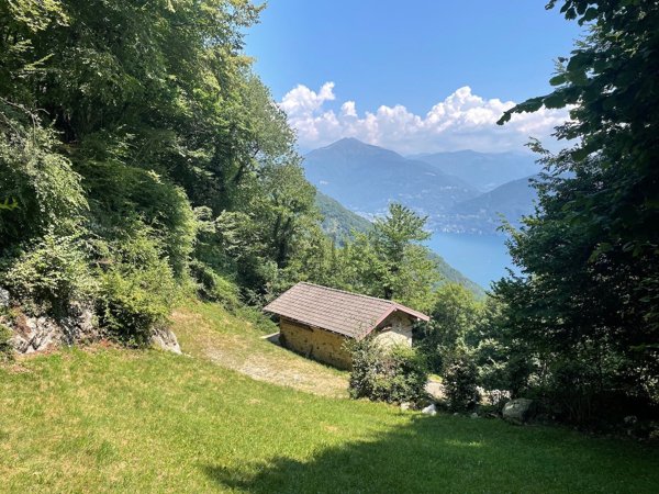 appartamento in vendita a Plesio