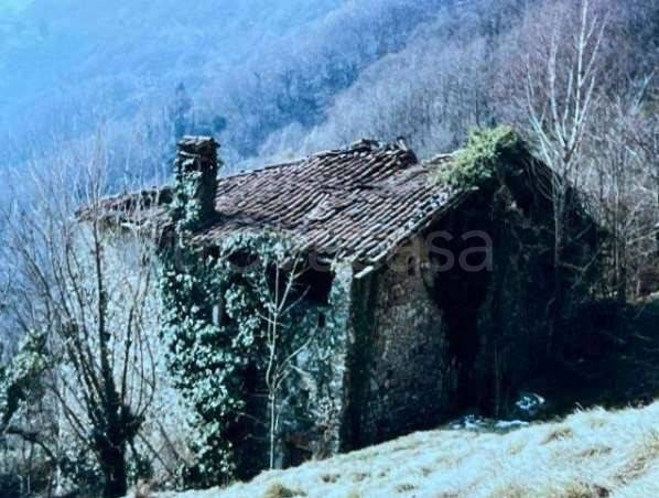 casa indipendente in vendita a Plesio