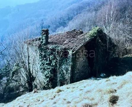 appartamento in vendita a Plesio