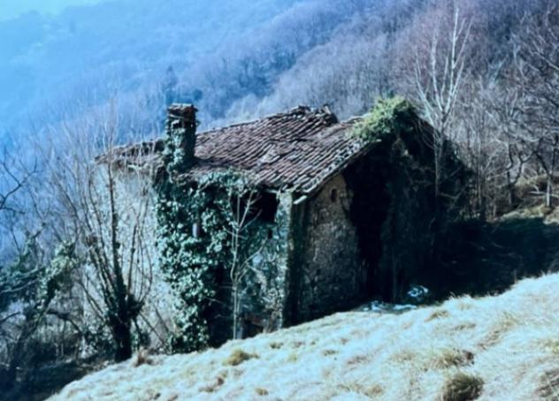 appartamento in vendita a Plesio