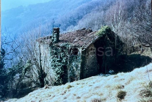 appartamento in vendita a Plesio