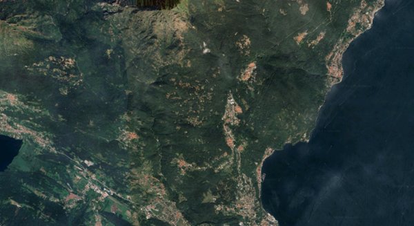 terreno agricolo in vendita a Plesio