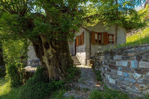 quadrivano in vendita a Plesio in zona Breglia