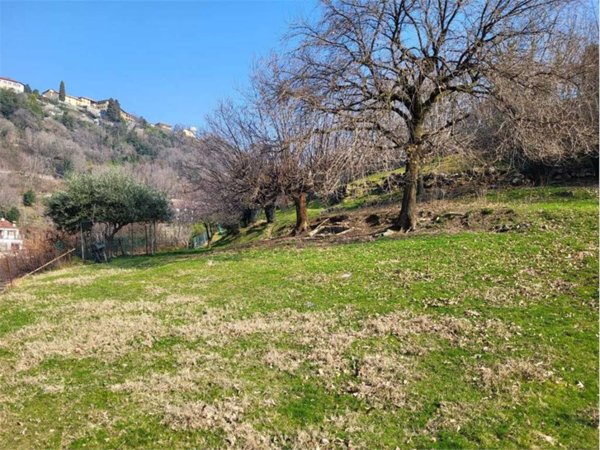 terreno agricolo in vendita a Ponte Lambro
