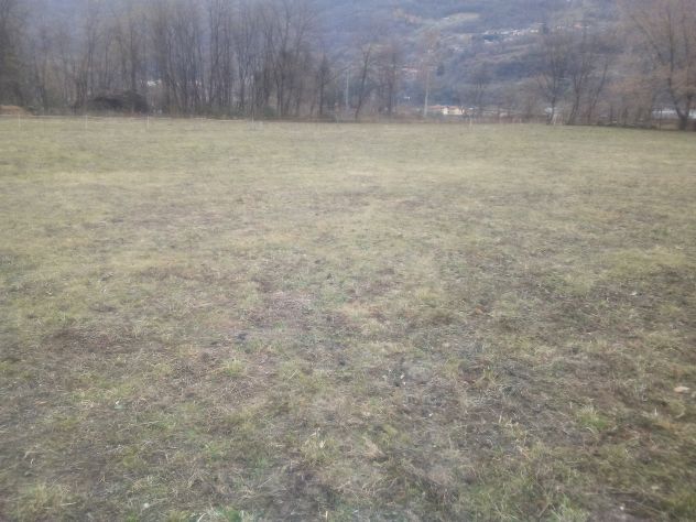 terreno agricolo in vendita a Porlezza