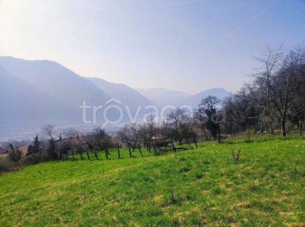 terreno agricolo in vendita a Porlezza