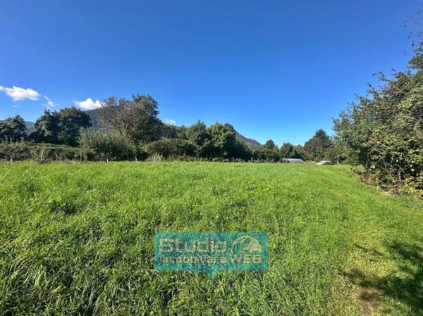 azienda agricola in vendita a Proserpio