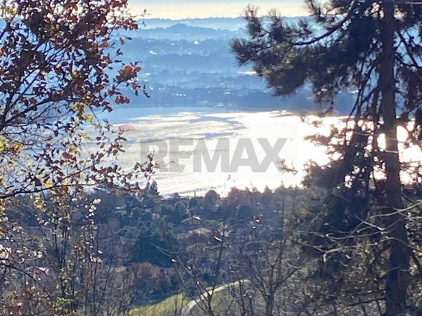 terreno agricolo in vendita a Proserpio