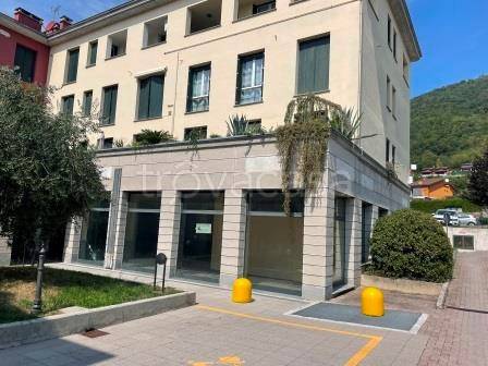 quadrivano in vendita a Pusiano