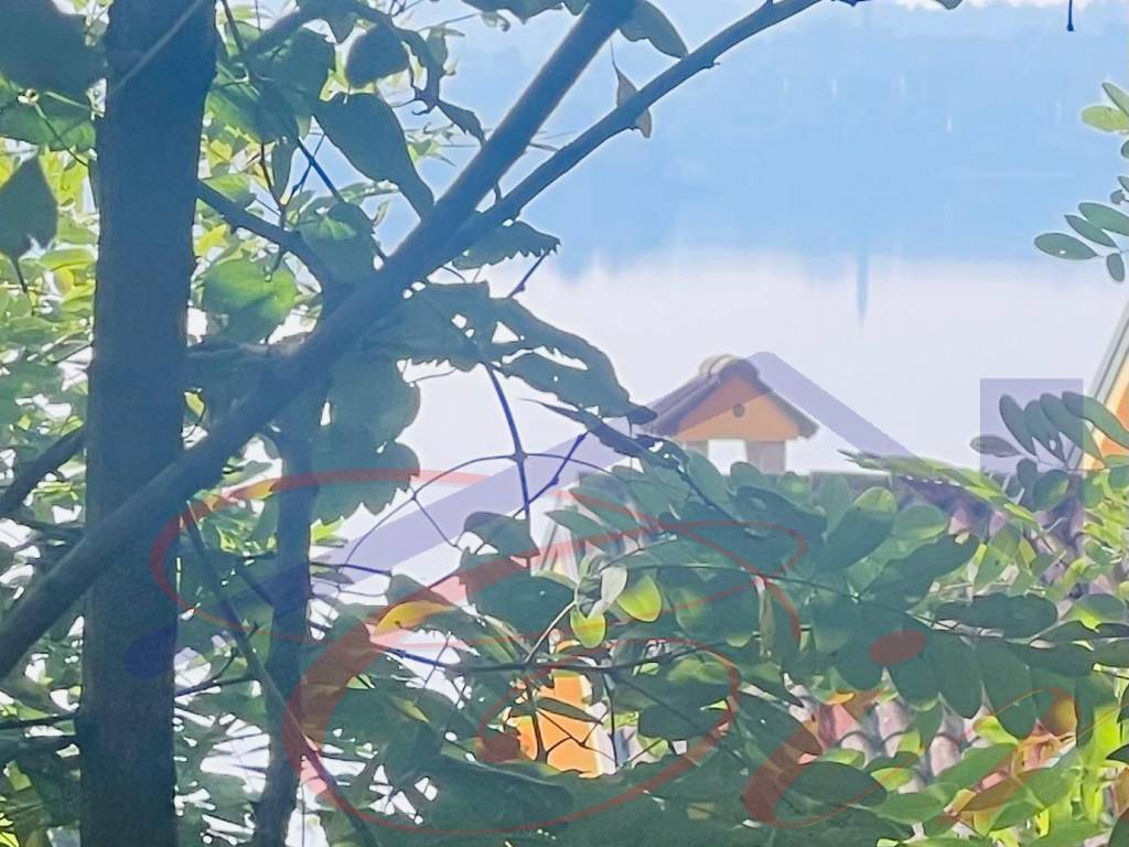 casa indipendente in vendita a Pusiano