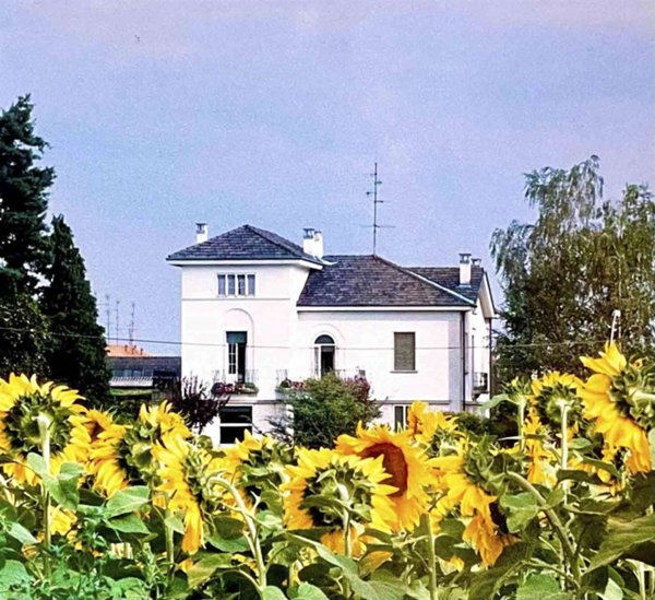 casa indipendente in vendita a Rovellasca
