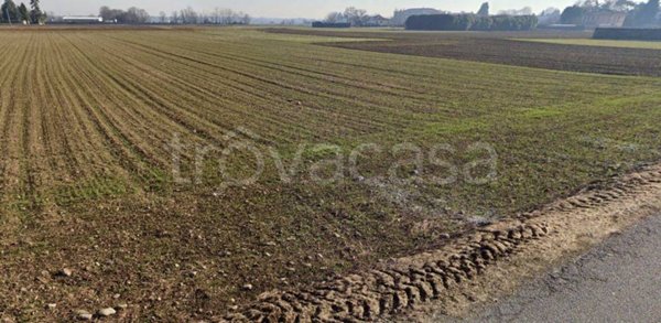 terreno agricolo in vendita a Rovello Porro