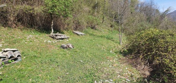 terreno agricolo in vendita a Schignano