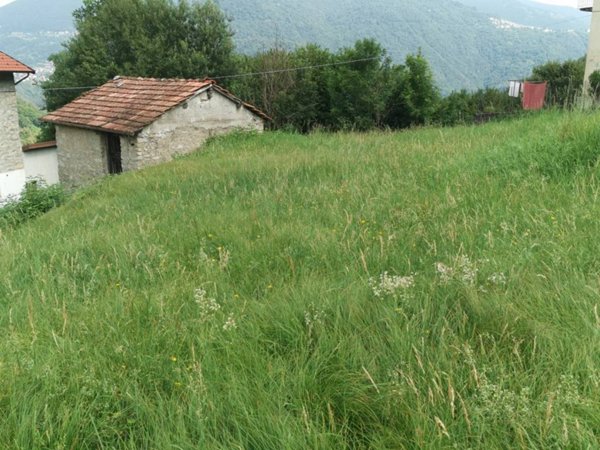 appartamento in vendita a Schignano in zona Occagno