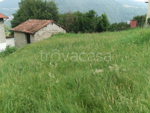 appartamento in vendita a Schignano in zona Occagno