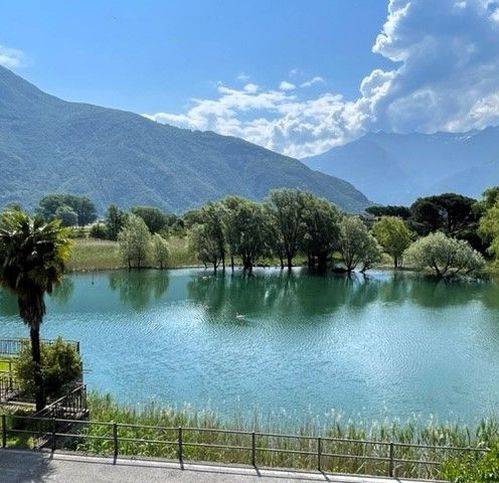 terreno edificabile in vendita a Sorico in zona Dascio