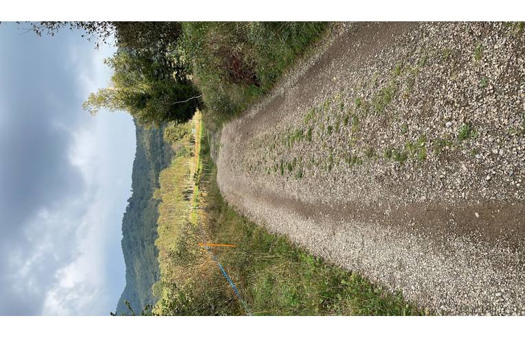 terreno agricolo in vendita a Sormano