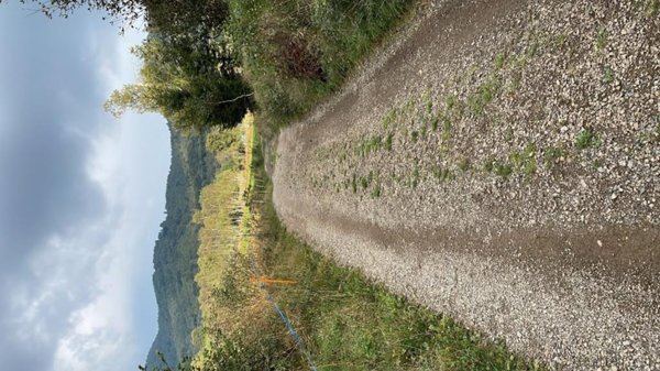 terreno agricolo in vendita a Sormano