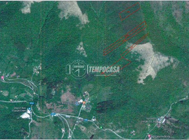 terreno agricolo in vendita a Sormano