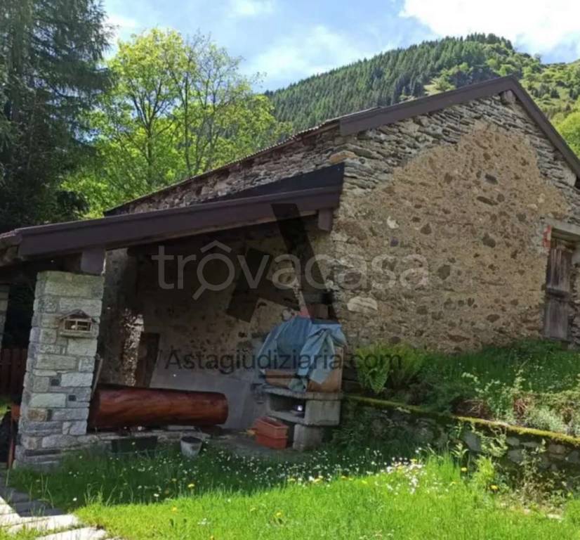 trivano in vendita a Stazzona