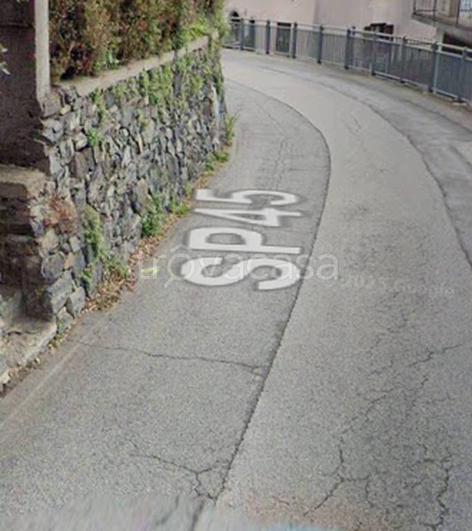 terreno agricolo in vendita a Stazzona