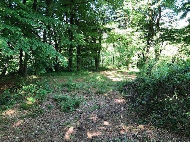 casa indipendente in vendita a Tavernerio