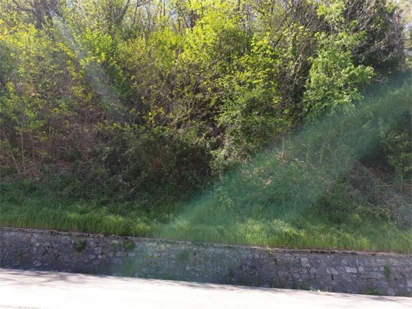 terreno agricolo in vendita a Tavernerio in zona Ponzate