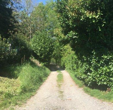 terreno agricolo in vendita a Tavernerio in zona Ponzate