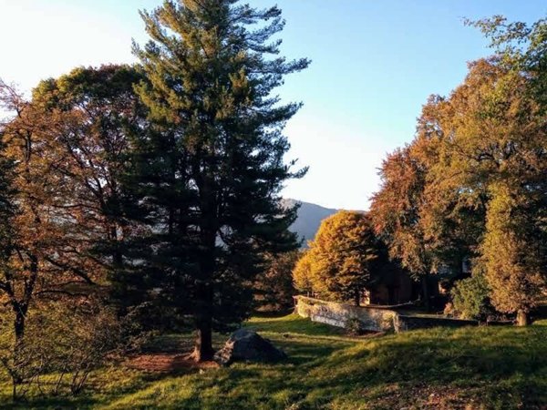 casa indipendente in vendita a Torno