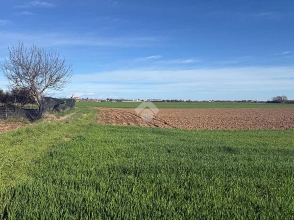 terreno agricolo in vendita a Turate