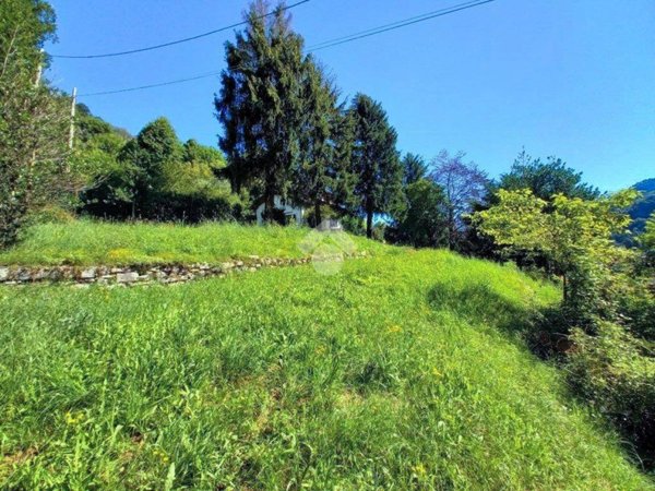 terreno agricolo in vendita a Valbrona in zona Osigo