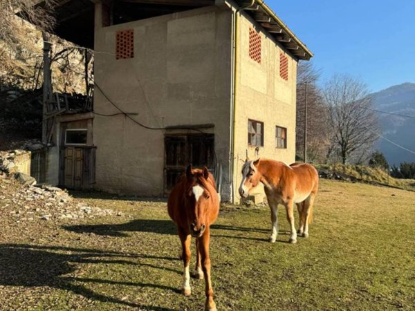 intera palazzina in vendita a Valbrona in zona Visino
