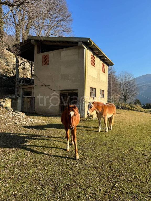 casa indipendente in vendita a Valbrona in zona Visino