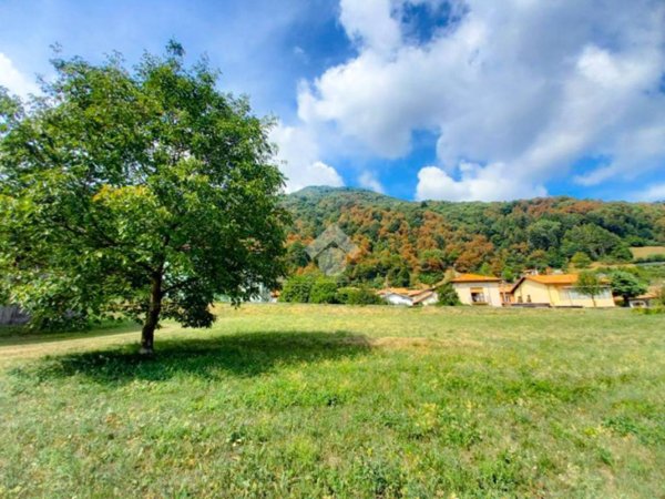 terreno agricolo in vendita a Valbrona in zona Maisano