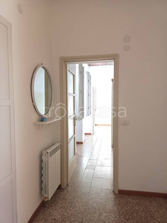 immagine annuncio 0 di 15