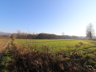 terreno agricolo in vendita a Valmorea