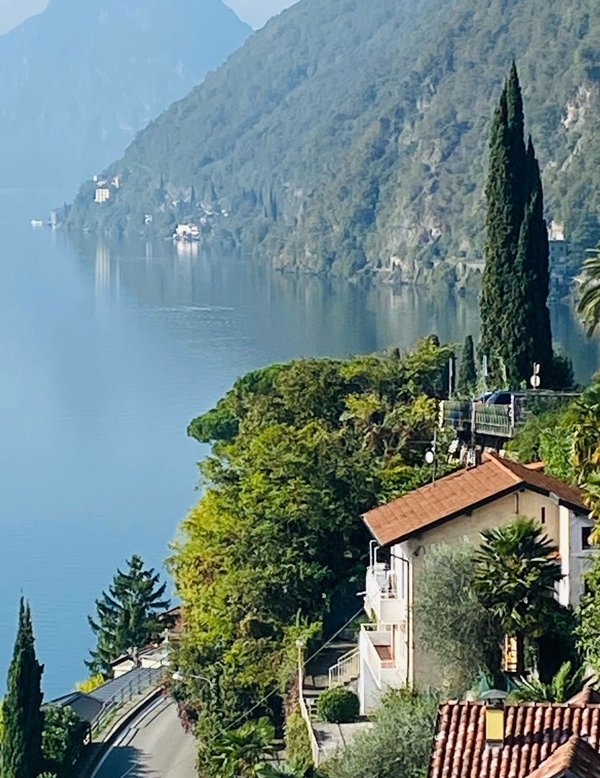 appartamento in vendita a Valsolda