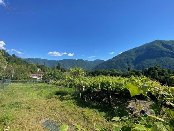 terreno edificabile in vendita a Valsolda in zona Loggio