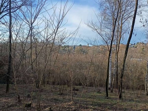 casa indipendente in vendita a Villa Guardia