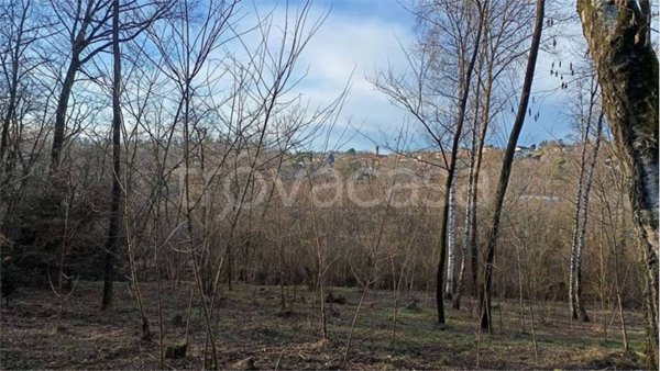 casa indipendente in vendita a Villa Guardia