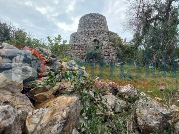 terreno agricolo in vendita a Gravedona ed Uniti in zona Consiglio di Rumo